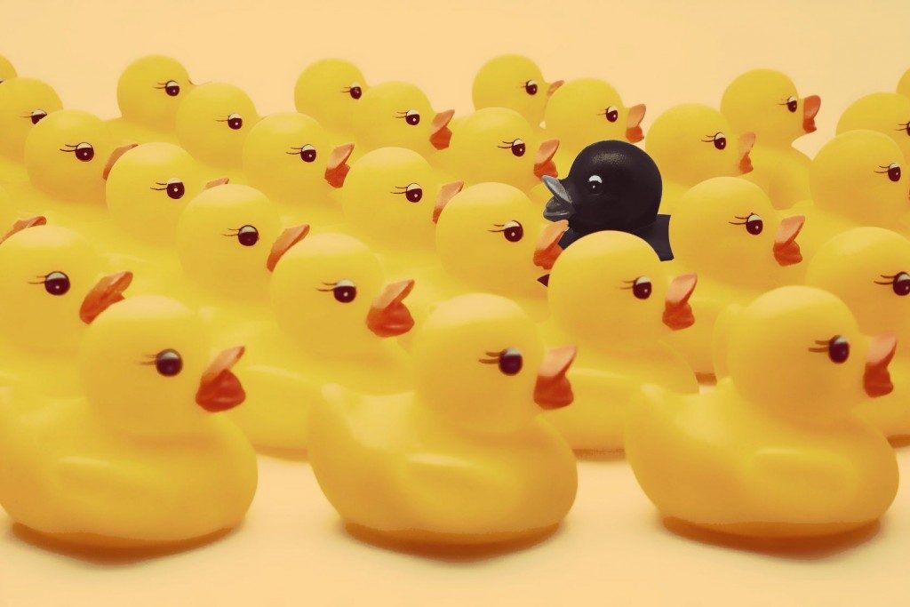 An inspirational black duck in a sea of conventional yellow ducks.